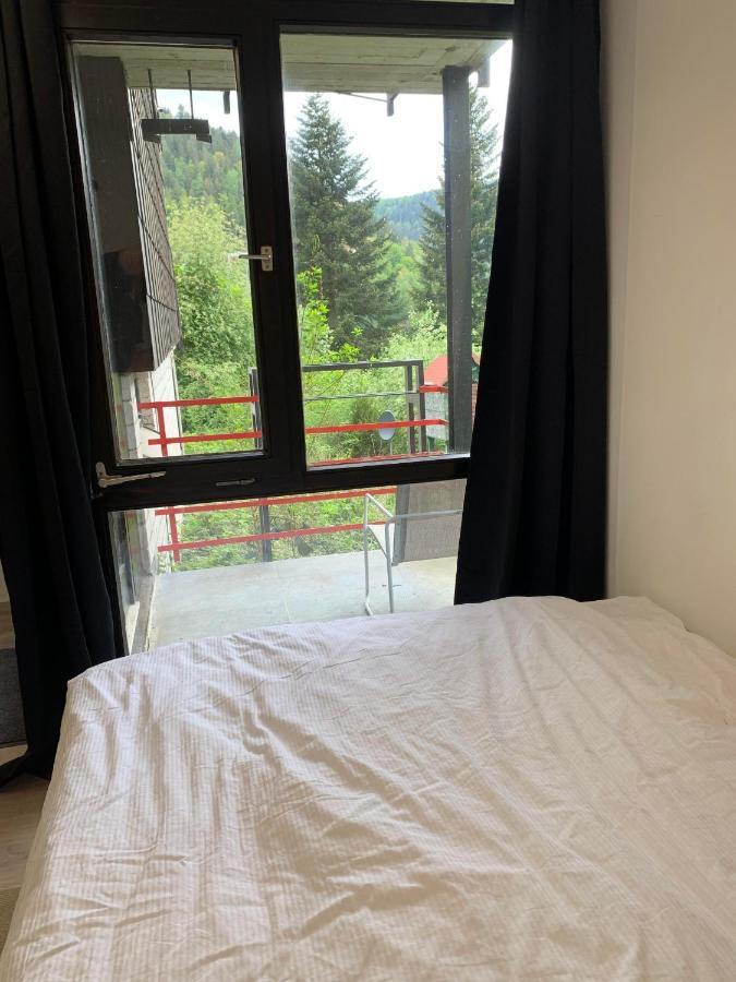 Kleines Einzimmer-Apartment 14 Bad Wildbad Exterior photo