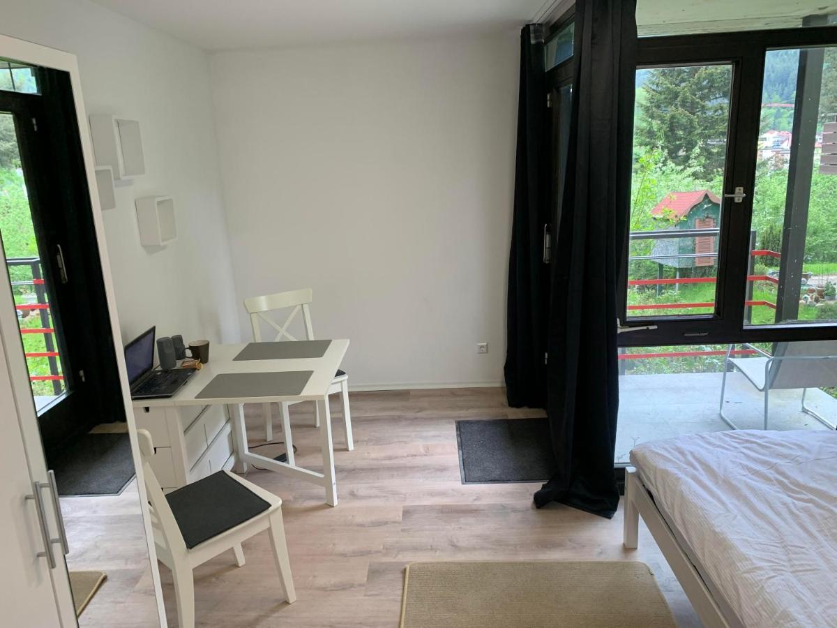Kleines Einzimmer-Apartment 14 Bad Wildbad Exterior photo
